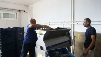 Yeşilüzümlü’de 45 Bin Şişelik Modern Şarap Tesisi Faaliyete Geçti