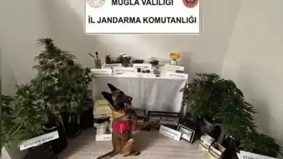 Evini uyuşturucu imalathanesine çeviren şüpheli tutuklandı