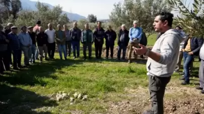 Fethiye ve Seydikemer’de Zeytincilik İçin Bilimsel Atılım