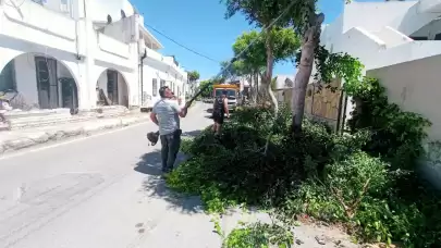 Bodrum Belediyesi Kurban Bayramı Öncesi 56 Mahallede Temizlik ve Budama Seferberliği Başlattı