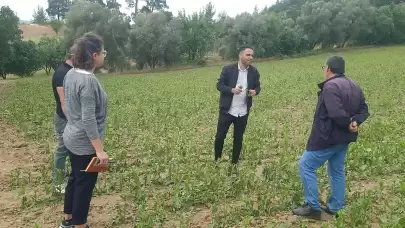Esençay’da Zarar Gören Çiftçilere Muğla Büyükşehir'den Teknik Destek Başladı