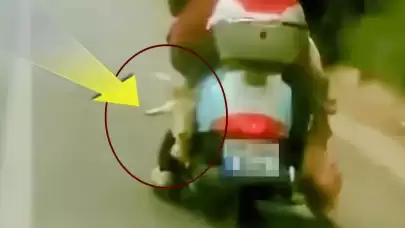 Muğla’da şok eden görüntü! Motosikletle keçi taşıdı