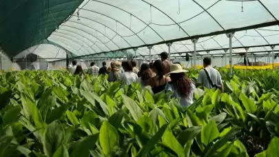Bodrum'da Gençler Tarımla Buluştu: Kampın İlk Dönemi Tamamlandı