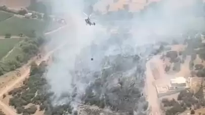 Milas Meşelik’te Ziraat Alanında Yangın! Ekipler Müdahale Ediyor