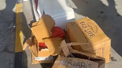 Terminalde Bırakılan 5 Koli Midye İmha Edildi
