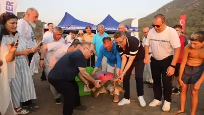 Tuba İkinci Kez Dünya Turuna Çıkıyor: Caretta Carettalar Denizle Buluştu