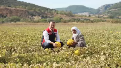Muğla’nın Yayla Kavunu Coğrafi İşaret Yolunda