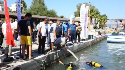 Boğaziçi’ne 160 Bin Balık Salındı