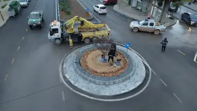 Bodrum’da Trafiği Rahatlatan Dokunuş: Mandalin Ağacı Detayı Dikkat Çekti