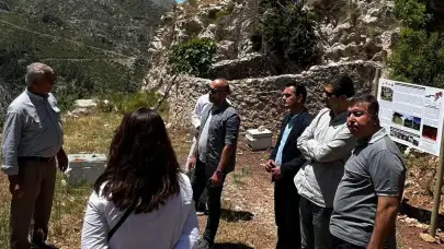 Osmaniye’de Tarihi Arı Avlusu Yerinde İncelendi
