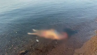 Marmaris Sahilinde Korkutan Olay: Denizde Erkek Cesedi Bulundu