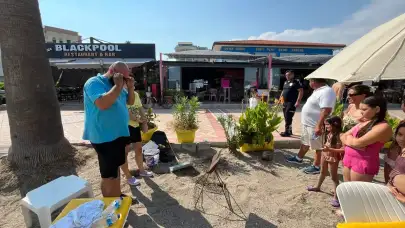 Peş Peşe İki Yuva! Marmaris'te 119 Caretta Yumurtası Bulundu