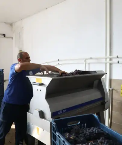 Yeşilüzümlü’de 45 Bin Şişelik Modern Şarap Tesisi Faaliyete Geçti