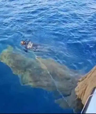 Muğla Kıyılarında Hayalet Ağ Temizliği