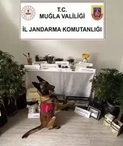 Evini uyuşturucu imalathanesine çeviren şüpheli tutuklandı