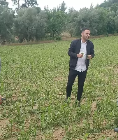 Esençay’da Zarar Gören Çiftçilere Muğla Büyükşehir'den Teknik Destek Başladı