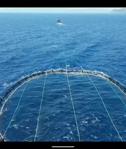 Karasularda Orkinos Denetimi: 2.666 Balıkta Yasal Sorun Bulunmadı