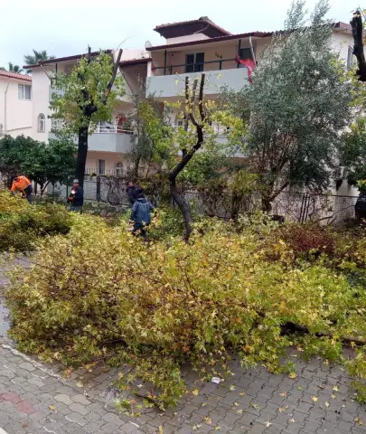 Marmaris’te Yeşil Alanlar Bahara Hazırlanıyor