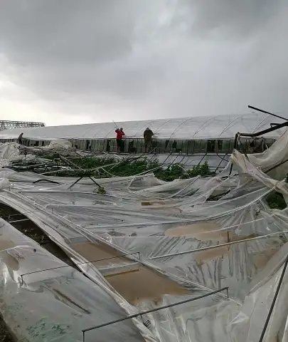Dolu ve Fırtına Seraları Vurdu, Yetkililer Sahaya İndi