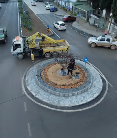 Bodrum’da Trafiği Rahatlatan Dokunuş: Mandalin Ağacı Detayı Dikkat Çekti