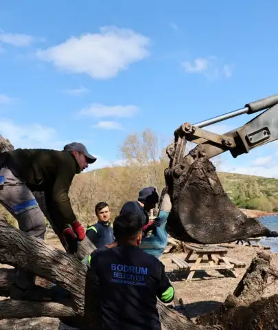 Fırtına Sonrası 176 Noktada Ağaçlara Müdahale Edildi