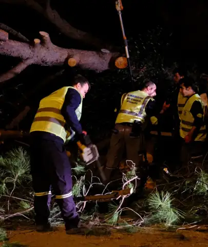 Fırtına Bodrum’u Vurdu: Devrilen Ağaçlar, Kopan Teller, Anında Müdahale