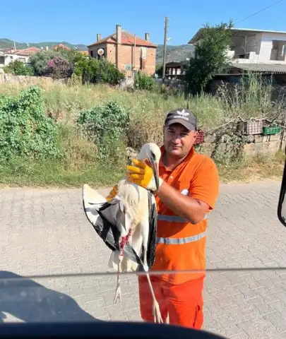 Milas'ta Temizlik İşçisinin Duyarlılığı Yaralı Leyleği Kurtardı