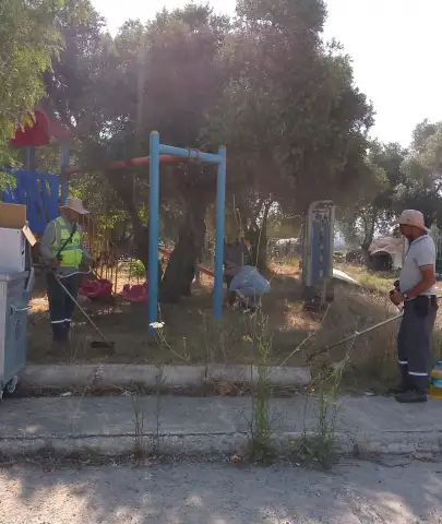 Bodrum'da Yaz Mesaisi: Ot Temizliği Aralıksız Devam Ediyor