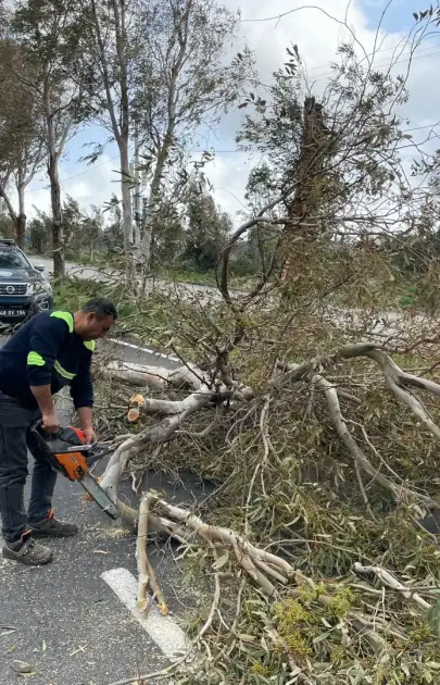 Bodrum’da Şiddetli Yağış: 15 Ağaç Devirdi, Belediye Sahada