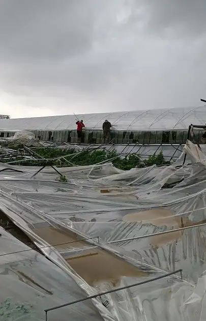 Dolu ve Fırtına Seraları Vurdu, Yetkililer Sahaya İndi