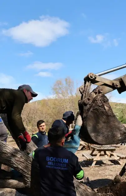 Fırtına Sonrası 176 Noktada Ağaçlara Müdahale Edildi
