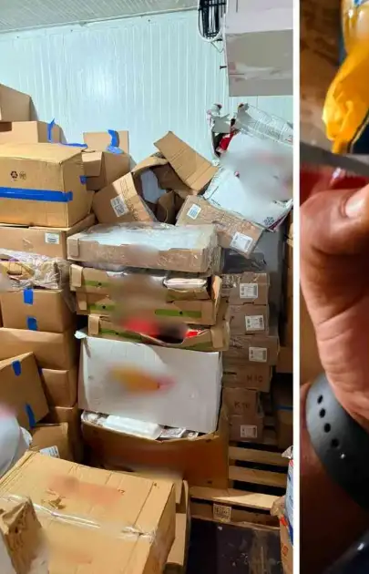 Denetimde Skandal! Raflarda Tonlarca Tarihi Geçmiş Ürün Bulundu