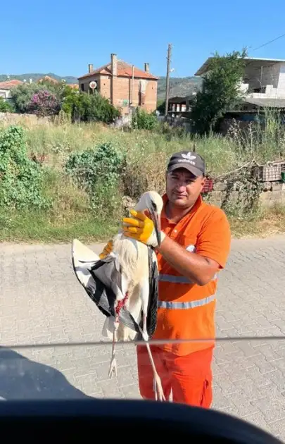 Milas'ta Temizlik İşçisinin Duyarlılığı Yaralı Leyleği Kurtardı