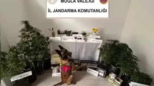 Evini uyuşturucu imalathanesine çeviren şüpheli tutuklandı