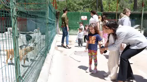MİNİK ÖĞRENCİLERDEN PATİLİ DOSTLARA ZİYARET