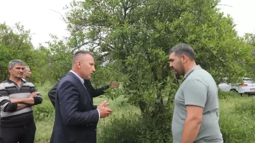 795 Üreticiye 5 Ton Gübre: Muğla'da Don Felaketine Karşı Seferberlik