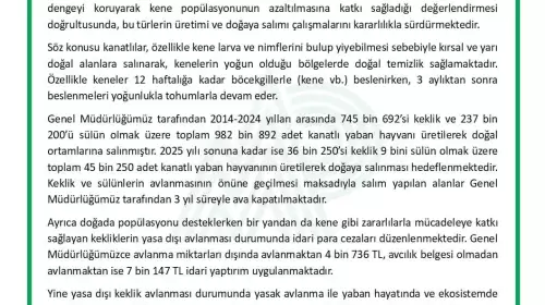 Kene ile Mücadelede Keklik ve Sülünler Doğaya Salınıyor