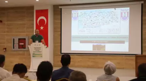 Bozulan Ekosistem, Şehre İnen Domuzlar: Muğla’da Alarm Zilleri