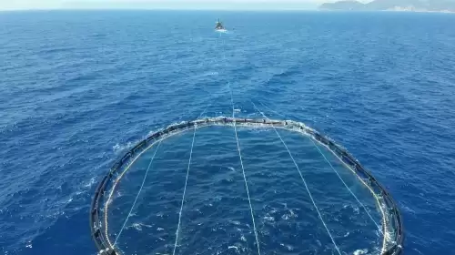 Karasularda Orkinos Denetimi: 2.666 Balıkta Yasal Sorun Bulunmadı