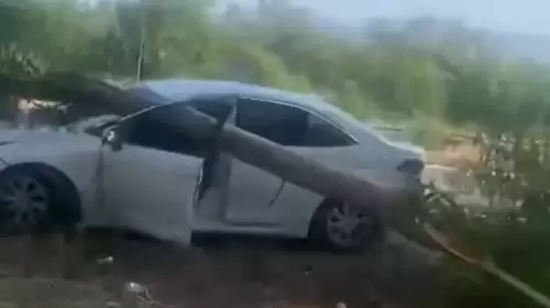 Gökova’da radar aracının üzerine ağaç devrildi