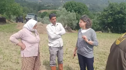 Esençay’da Dolu Felaketi: Büyükşehir’den Hızlı Müdahale!