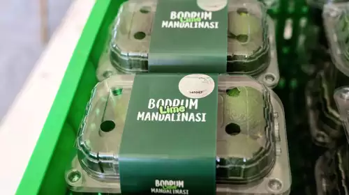 Yeşil Bodrum Mandalini Erken Hasatla Marketlerde