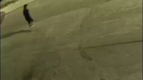 Başkan Gonca Köksal Aras’ın Ailesine Molotoflu Saldırı: İki Genç Gözaltında