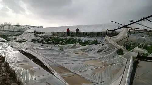 Dolu ve Fırtına Seraları Vurdu, Yetkililer Sahaya İndi