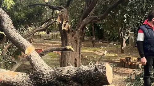 Şiddetli Fırtına Milas’ı Felç Etti! Belediye Anında Devreye Girdi
