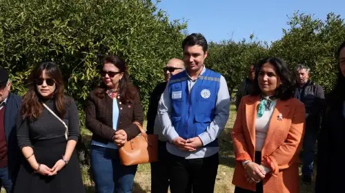 Tarımda Verim İçin Eğitim: Bodrum’da Üreticiler Sahada Öğrendi