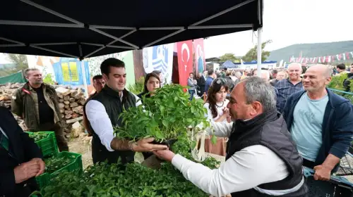 Bodrum’da Üreticiye 350 Bin Yazlık Sebze Fidesi Dağıtıldı