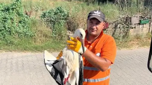 Milas'ta Temizlik İşçisinin Duyarlılığı Yaralı Leyleği Kurtardı