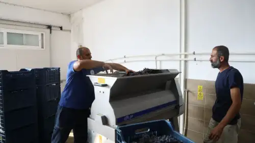 Yeşilüzümlü’de 45 Bin Şişelik Modern Şarap Tesisi Faaliyete Geçti
