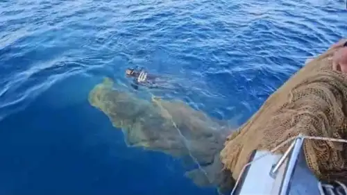 Muğla Kıyılarında Hayalet Ağ Temizliği